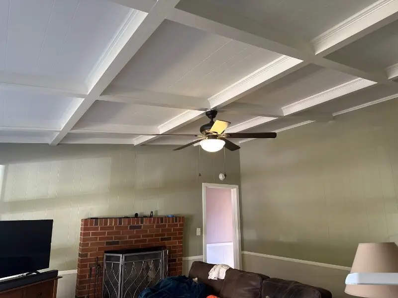 Ceiling White Paint